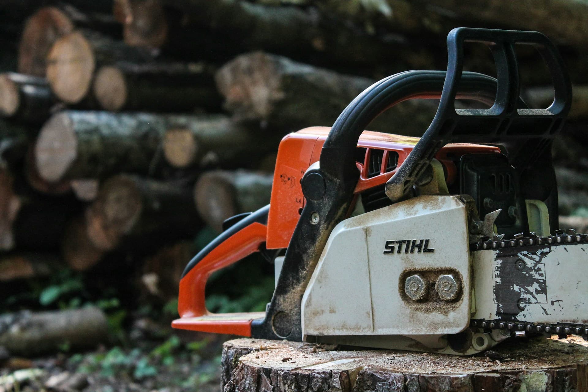 Gardening — a chainsaw resting on a stump beside cut logs