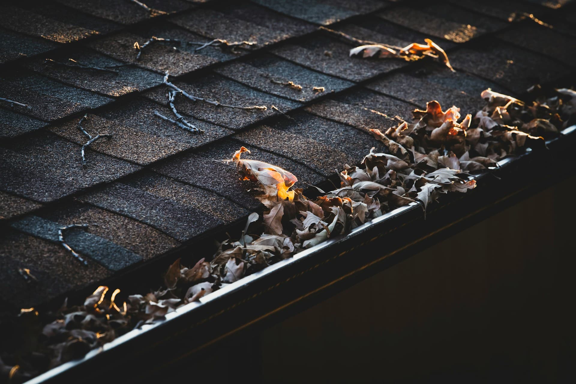 Roof gutter clogged with dry leaves beside shingled roofing at dusk