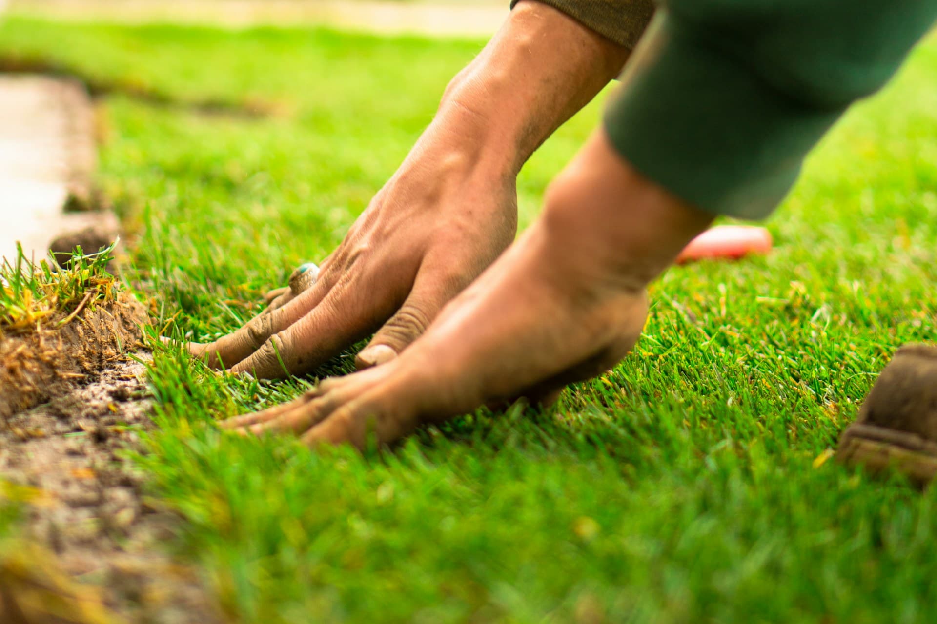 Hands pressing down a fresh strip of turf beside a path